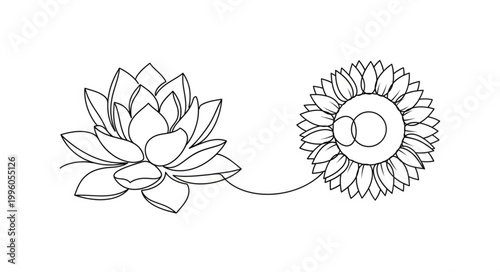 Outline drawing of a lotus flower and a sunflower connected by a dashed line.
