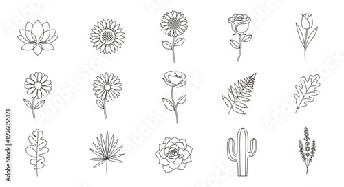 Collection of stylized floral and botanical line art elements.