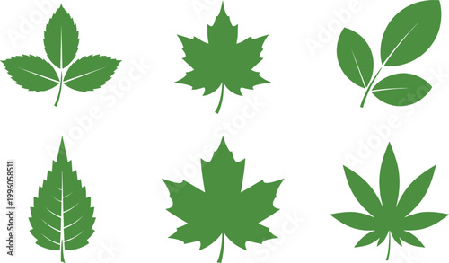 Bilde på lerret Green Leaf Vector Illustration Collection Featuring Diverse Botanical Shapes, Se