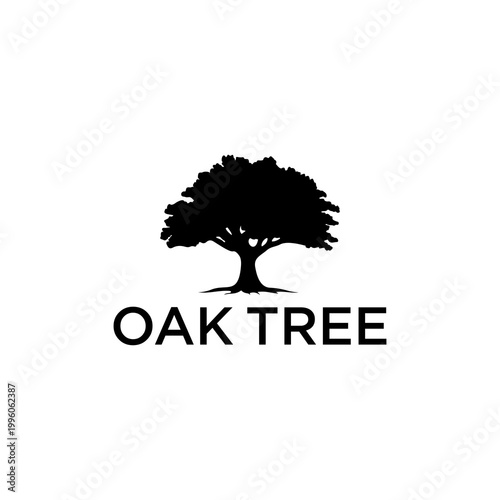 Oak tree vector