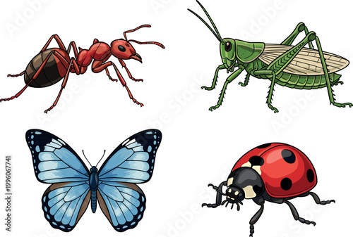 Detailed Insect Illustration Set with Red Ant, Green Grasshopper, Blue Butterfly, and Ladybug for Nature, Wildlife, Education, and Biology Design Projects
