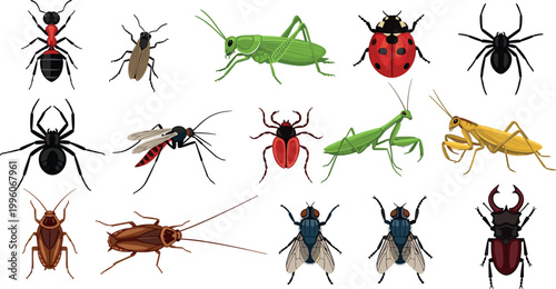Colorful Insect and Bug Icon Set with Ant, Grasshopper, Ladybug, Spider, Mosquito, Cockroach, Fly, and Beetle Illustrations for Nature and Education Design Projects