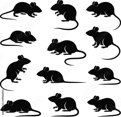 Mouse silhouettes collection isolated, small rodent poses set, animal behavior, wildlife concept, detailed black shape illustration bundle