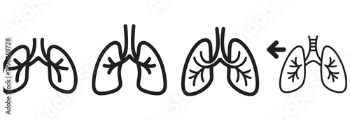 Human lungs diagram illustrating breathing process with arrows and movement