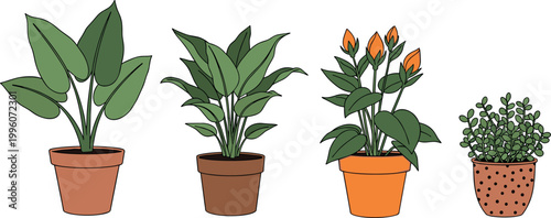 Colorful Indoor Potted Plant Set with Tropical Leaves, Flowering Plant, and Succulent for Home, Garden, and Botanical Design Projects