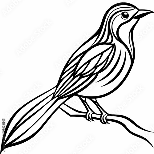 A black and white illustration of a bird perched on a branch, showcasing its feathers and beak in a simple yet elegant design.