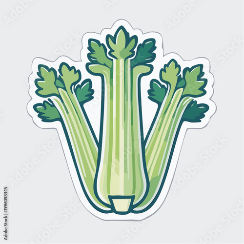 Illustration of Fresh Celery Stalks