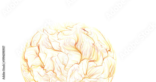 Artistic brain illustration...
