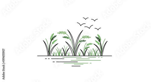 Birds fly over water plants reeds.