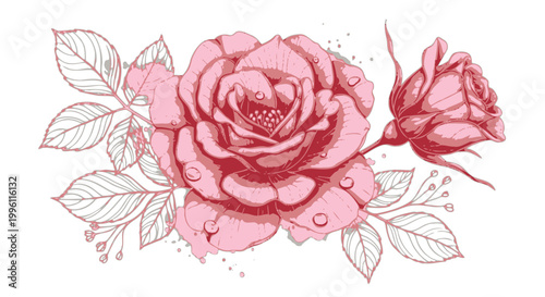 Pink rose with water droplets and leaves on black background Keywords: pink rose, flower, water droplets, dew, leaves