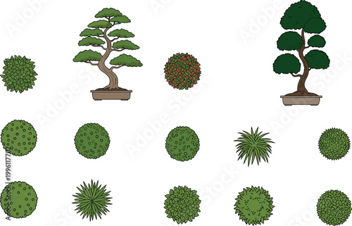 Collection of bonsai trees and green bushes in top view, garden plants set, landscaping elements illustration for nature design