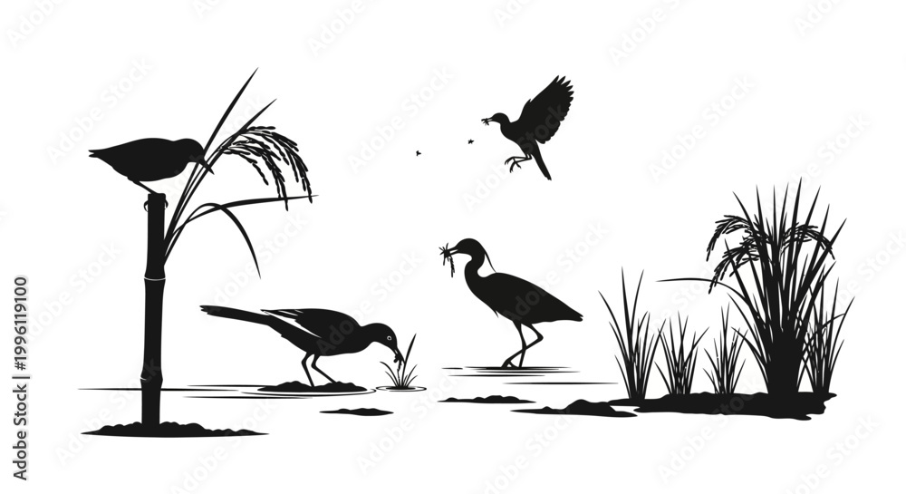 Obraz premium Birds Silhouette in Natural Habitat.