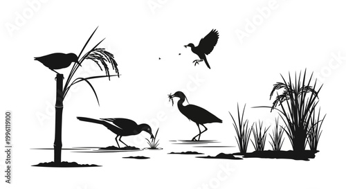 Birds Silhouette in Natural Habitat.