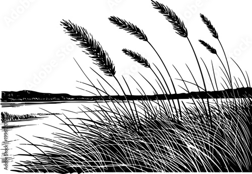 Black and white of tall grasses swaying by a calm lake with distant hills reeds water