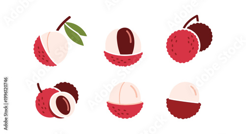 Lychee Fruit Line art vector simple abstract color shapes