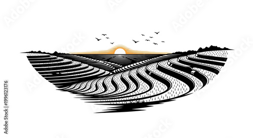 Black and white illustration landscape design.