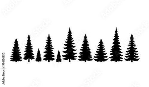 Minimal monochrome conifer tree vector set with pine fir and spruce silhouettes on white background