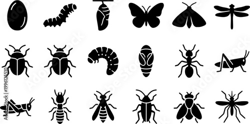18 Black and White Metamorphosis Growth Lifecycle Vector Icons Flat Line Art
