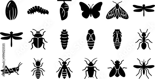 18 Black and White Metamorphosis Growth Lifecycle Vector Icons Flat Line Art

