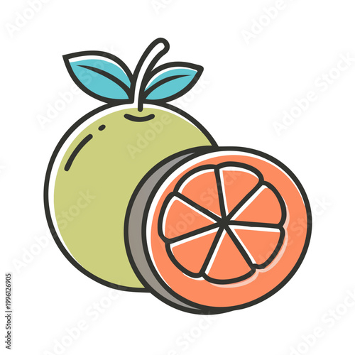 vector illustration of an orange fruit