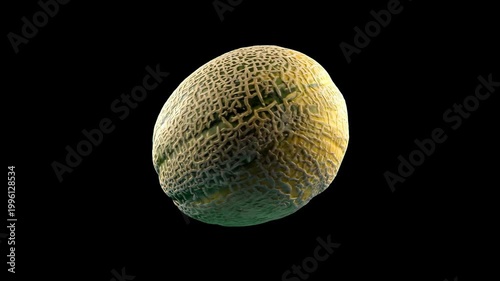 A high-contrast studio presentation of a ripe cantaloupe melon spinning continuously in a flawless 360 turntable animation cycle against a pitch-black background. Designed as a high-density commercial