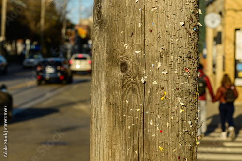 Weathered wooden utility pole covered in staples and torn paper remnants from posted handbills on urban street in morning light.