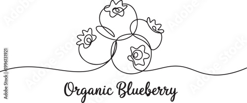 Blueberry vector illustration. One line drawing art illustration with lettering organic blueberry. Blueberries in continuous line art drawing style. one line Icon drawing