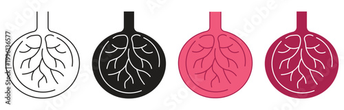 Placenta Icon set, Outline Vector illustration.