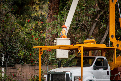 A tree trimmer in the bucket of a large articulating boom lift.