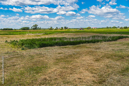 Fotografi Landscape with an almost completely overgrown oxbow lake
