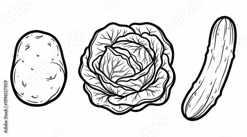 Vegetable trio illustration isolated vector