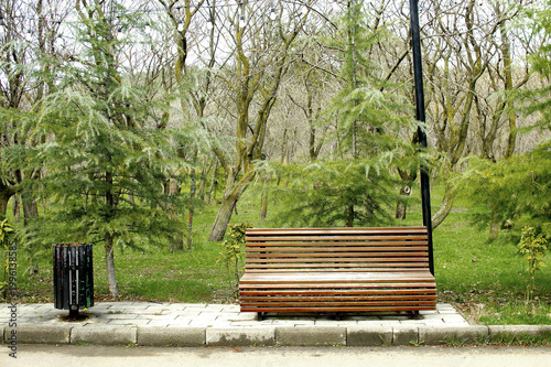 Lonely empty wood park bench and a trash bin