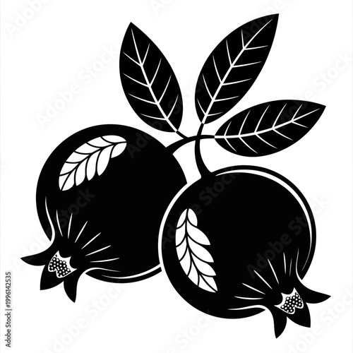 Black and white illustration of pomegranates with leaves on stem