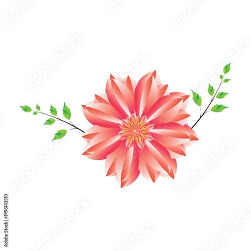 red flower on white background