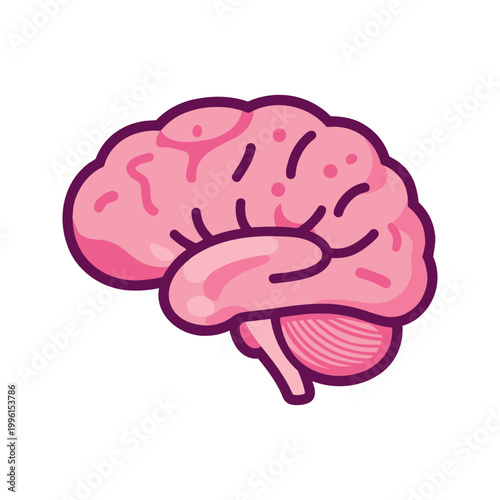 Stylized illustration of a healthy pink brain with visible cerebellum and brain stem