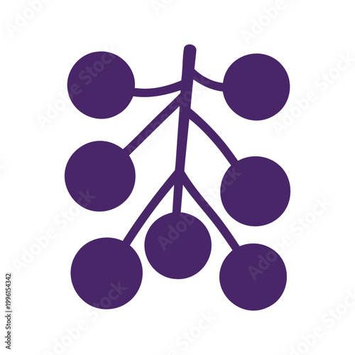 Illustration of a stylized bunch of grapes hanging from a vine on a white background