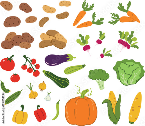 Fresh organic vegetables collection vector illustration. Autumn harvest set with pumpkin, potatoes, carrots, tomatoes, and greens isolated on white background for healthy food design