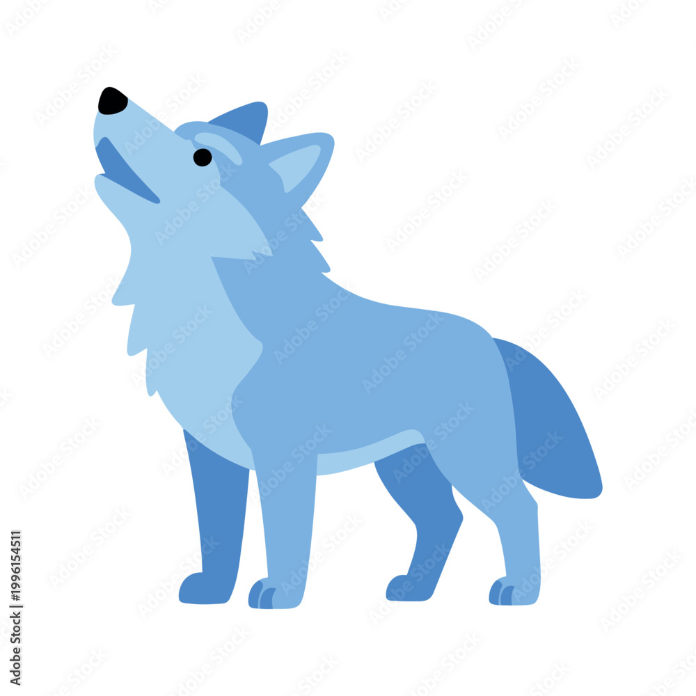 Fototapeta premium Blue wolf howls with its head raised up toward the sky on a white background