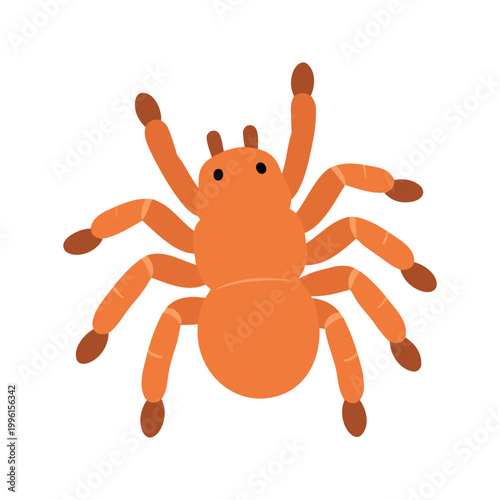 The illustration depicts an orange spider with a rounded body and eight legs, and it currently stands on a plain white background.
