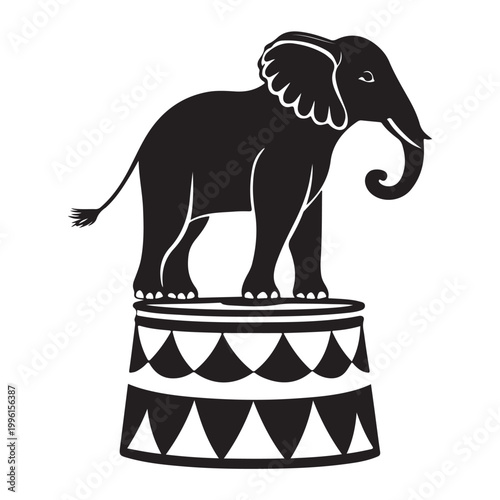 elephant vector illustration