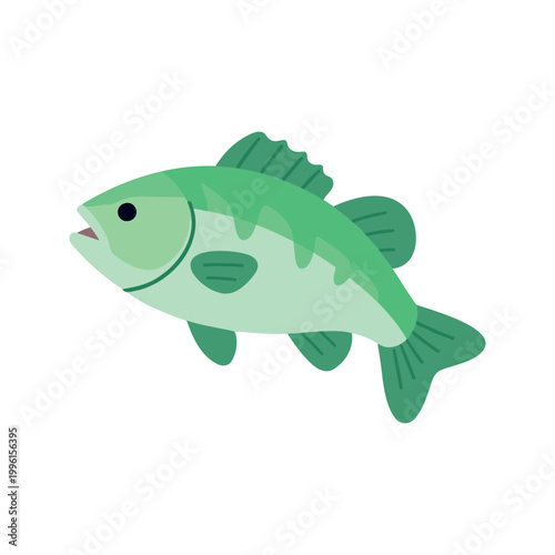 The largemouth bass is a freshwater gamefish in the sunfish family, often caught in the eastern United States and Mexico.
