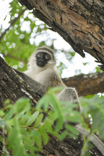 Photography Wildlife and Nature