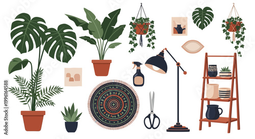 Decorative home interior plants and accessories vector
