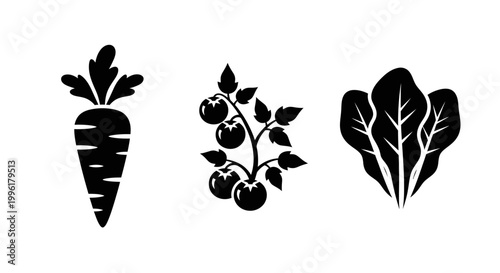 Black vegetable silhouettes featuring carrot tomato and leafy greens