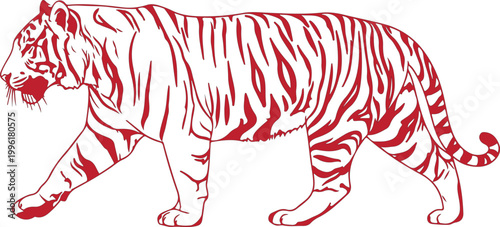 Tiger walking stylized red and white graphic big cat endangered species national animal stripe pattern predator wildlife illustration
