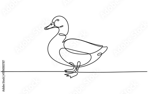 Domestic goose continuous one line drawing,Duck in continuous line art drawing style. 