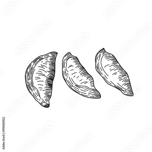 Korean Mandu Dumplings Street Food Illustration
