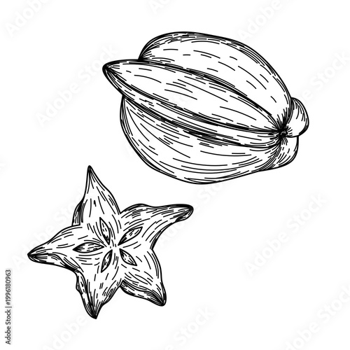 Tropical Star Fruit 