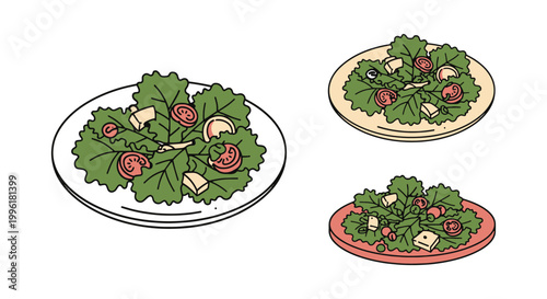 Kale Salad Plate Line art minimal abstract clean vector