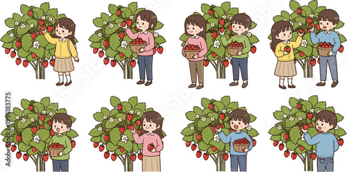 Children picking strawberries vector illustration set with kids harvesting fruit in garden, cute farming and berry picking collection